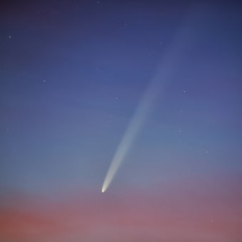 紫金山・アトラス彗星
