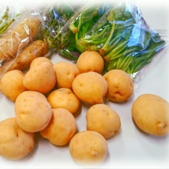 8月17日(水)のみなと子ども食堂