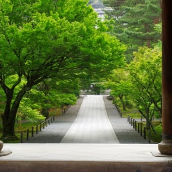 新緑の南禅寺