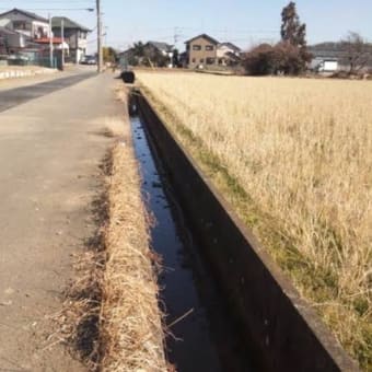 桜井君とドライブ〜田舎道の恐怖