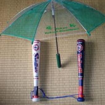 それで アルビbcの応援グッズは アルビレックス新潟 各チーム推し活動をできるだけ現場でしている都内在住サポーター それで アルビbcの応援グッズは アルビレックス新潟 各チーム推し活動をできるだけ現場でしている都内在住サポーター