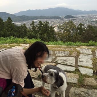 静岡、島田、藤枝