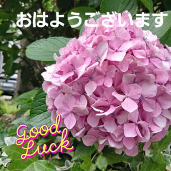 わたしにあるものを