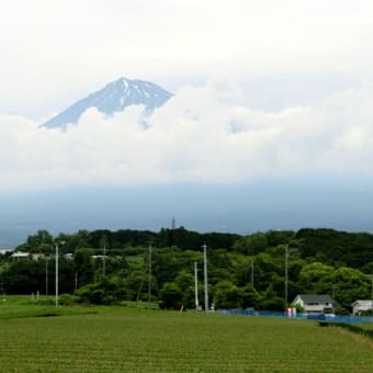 静岡県 in ドクターイエロー　２