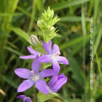 □世界にひとつ□ 椿 竹久夢二 一閑張り 花柄 思い出 - メルカリ
