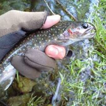 最近の釣りスタイル