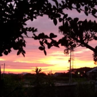 夕焼け
