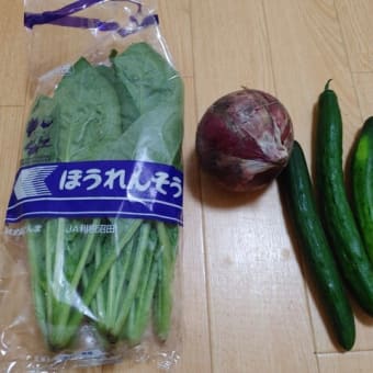 【アパート隣人からのいただき物】野菜３種
