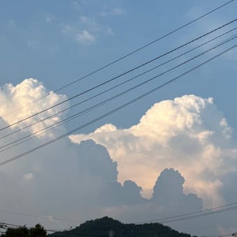 雲