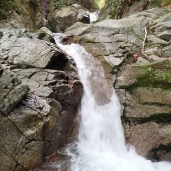大川入山 矢作川の源流 柳川を遡行