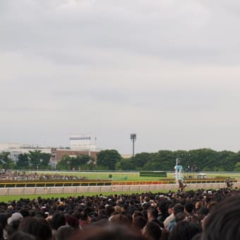 レース回顧＆現地レポート：日本ダービー（2010）その１
