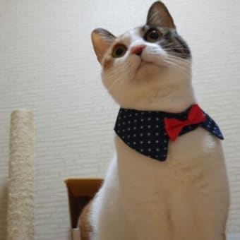 ☆今日、買った物☆8