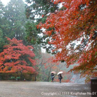 紅葉の神護寺