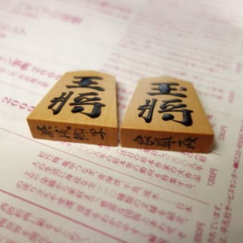 中将棋は面白い - 熊澤良尊の将棋駒三昧 中将棋は面白い - 熊澤良尊の将棋駒三昧