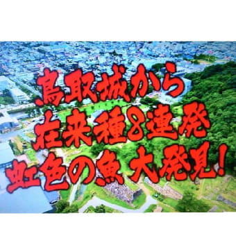 不定期だなぁ～