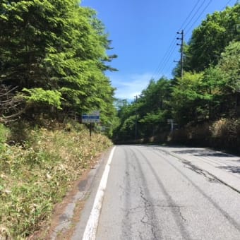夏至の大河原峠に死す・・？（Ⅱ）