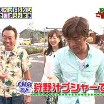 宿命の対決とブシャー