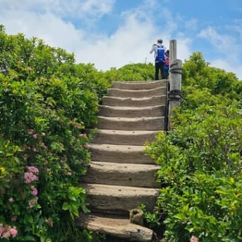 とんだ大山登山だっけれど…😥