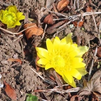 ３月　弥生の風、冷たくても
