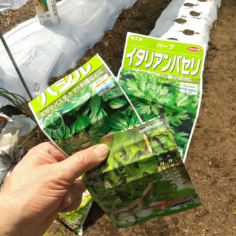カッコウと共に