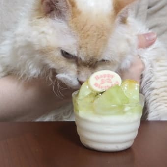 リクの誕生日に