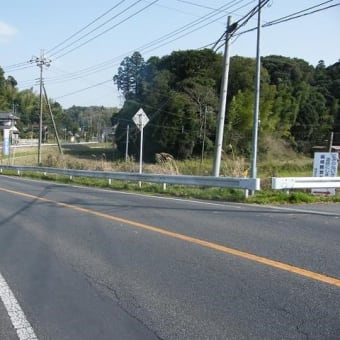 SCM 実話　桜庭支配人の現場一直線　第二話