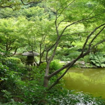 池田山公園
