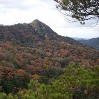 山口県大黒山・竜ヶ岳を歩く