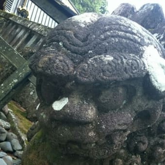 日光の思い出(ほぼ写真のみ)