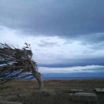 Patagonia  1