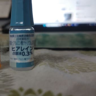 美衣ちゃん、オメメ通院
