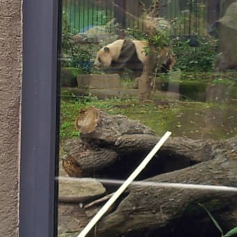 動物園