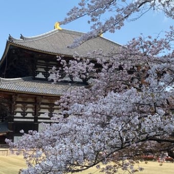 Isle of Wightクラブの京都・奈良観光案内