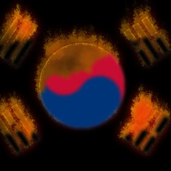 韓国炎上