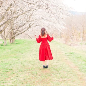 桜お花見