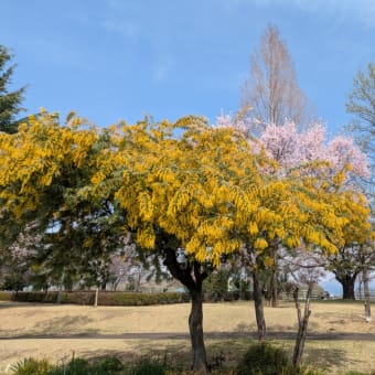 西部公園