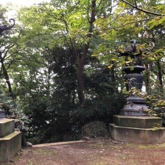 久しぶりのお散歩１