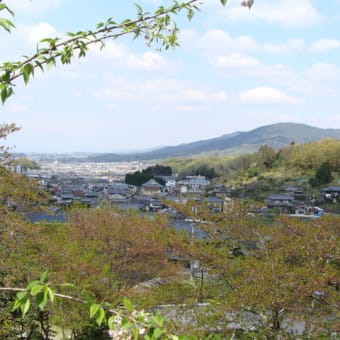 奈良県桜井市　真言宗　聖林寺