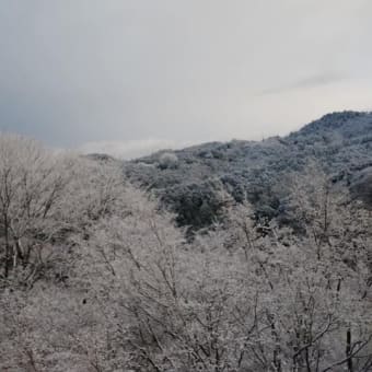 ☆冬の吉野山を訪れる方は本当に吉野を好きな方だと思います☆