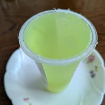 砂丘のくじらじま④（鳥取市）