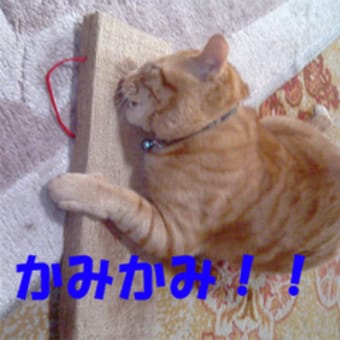 お風呂って最高だね。