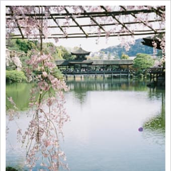 京都の写真(Canon Dial35)
