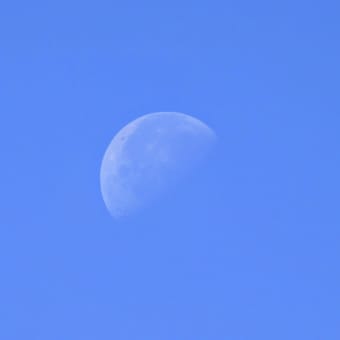 今日いち-2025年6月18日