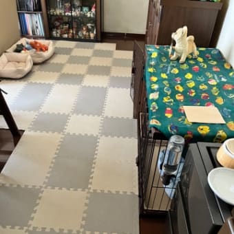 休息日