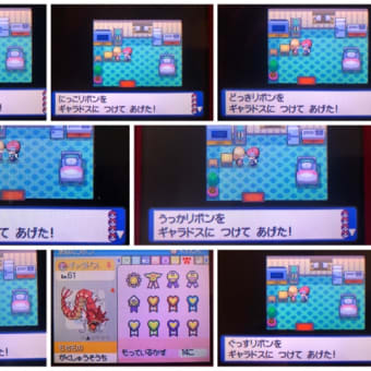 画像一覧 ギロチン和尚のポケモン行脚 画像一覧 ギロチン和尚のポケモン行脚