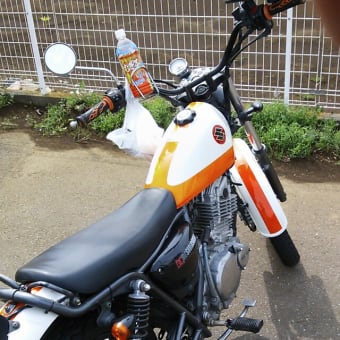 目指せ!!  佐倉城趾公園!!