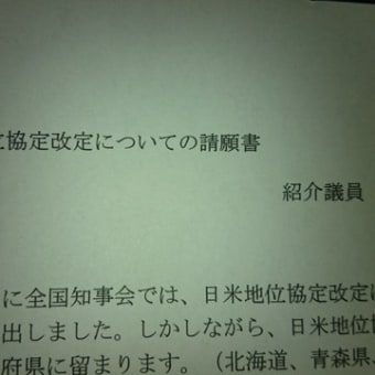 自民党県議連地位協定改定についての請願書