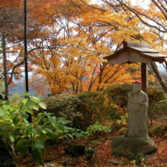 紅葉狩り～金蔵寺・長岡天満宮～