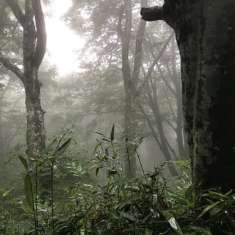 22日ぶりの手差し　中丸山コース