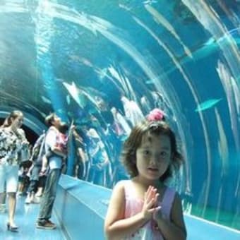 ゆっちーも旅立ち